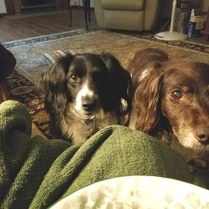 Meet your Posher, Elizabeth